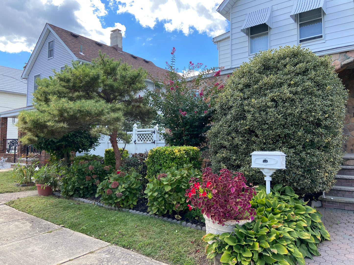 Landscaping Assessment & Evaluation