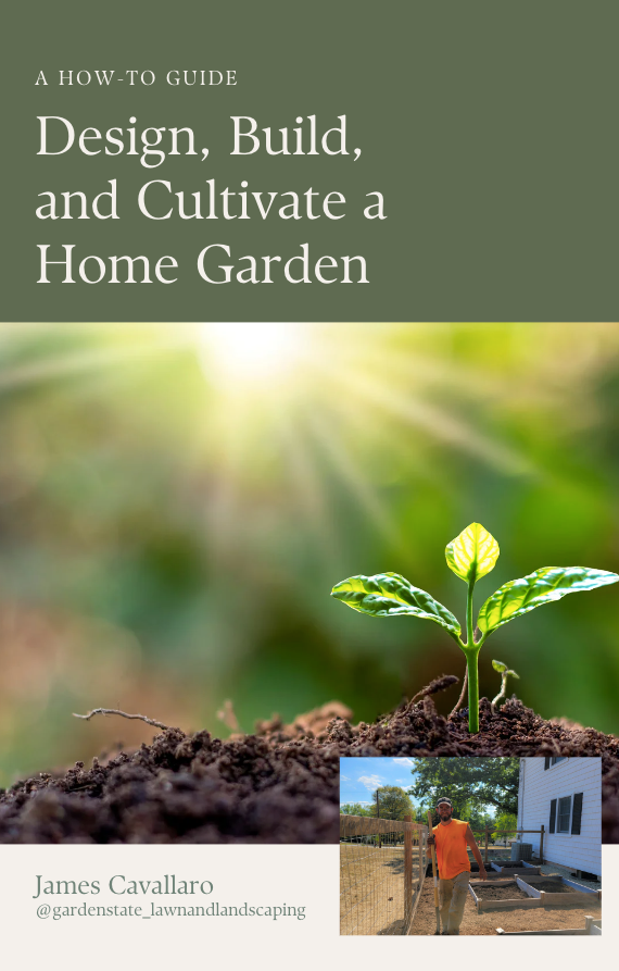 EBook A HOW TO GUIDE